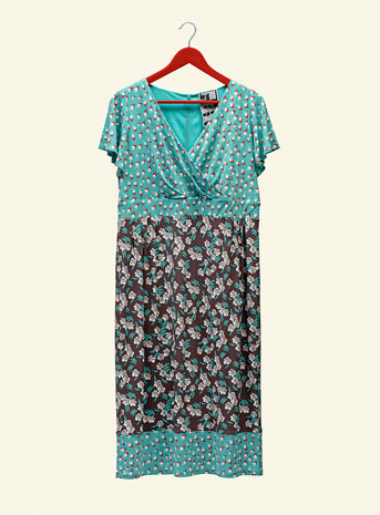 Evans - Swan Collection